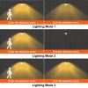 VEVOR Solar Barn Light, 3 Lighting Modes & Motion Sensor, Dusk to Dawn Outdoor Wall Sconces, Exterior Farmhouse Gooseneck Lights, Wall Mount