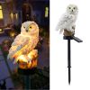 Owl Garden Solar Lights